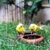 Ankit Ahuja - Facebook