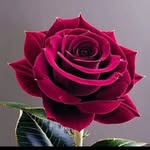 Ankit Kumar - @ankit_dhiranya_8010 - Instagram