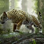 Ankit parmar - Facebook