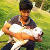 Ankit Prasad - @ankitprasad39 - TikTok