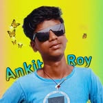Ankit Roy - @ankitroy2.o - Instagram