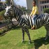 Ankit singla - @riyasinglasingla0 - TikTok