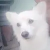 Ankit Tripathi - @ankittripathi446 - TikTok