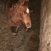 Ankit Vora - @ankitvora398 - TikTok