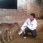 Ankush Mehta - Facebook
