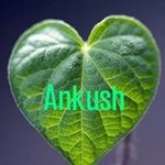 Ankush Vyas - @ankushsh4145 - Instagram