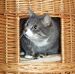 Anne Abbott - Facebook