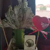 Anna Acquaviva - @annaacquaviva4 - TikTok