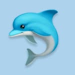 🐬An_na✨ - @_anna_dolphin_ - Instagram