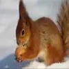 annadrian - @annadrian - TikTok