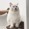 annakins - @annarkins - TikTok