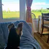 Annakins - @annakinsbananakins - TikTok