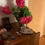 Ann Ala Gelateria Di Trevisa Anna - Facebook