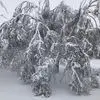 Ann Albright - @ann.albright93 - TikTok