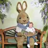 Ann Albright - @ann.albright - TikTok