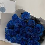 blue💙 - @anna_randallrkzv - Instagram