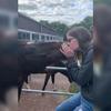 Ann-Cathrin Arndt - @ann-cathrinarndt - TikTok