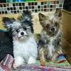Ann Ashmore - @ann.ashmore - TikTok