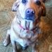 Ann Ashmore - Facebook