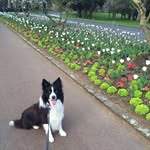 Ann Ashmore - @ann1ashmore - Instagram
