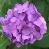 annaautry5 - @anna.autry - TikTok