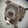 annieautry01 - @happy.paradise18 - TikTok