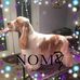 Ann Ayre - Facebook