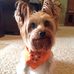 Ann Baggett - Facebook