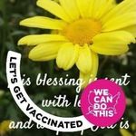 Ann Baggett - @ann____baggett - Instagram