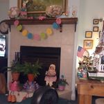 Ann Bagley - @bagley488 - Instagram