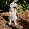 anya :) - @ann.bain - TikTok