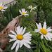 Ann Bakken - Facebook