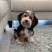 Ann Barrows - Facebook