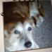 Ann Battle - Facebook
