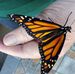 Ann Baum - Facebook