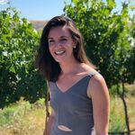 Ann Baum - @anngbaum - Instagram