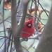 Ann Kevin Baum - Facebook
