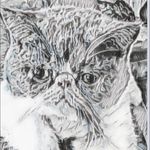 Ann Beaudry - @abeaudry1956 - Instagram