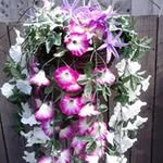 Susan Ann Beavers - @susanannbeavers - Instagram