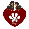 Ann Bennett - @annbennettdogs - TikTok