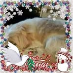 Ann Bennett - Facebook