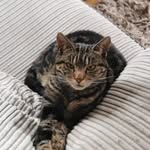 ann bennett - @annbennett2708 - Instagram