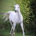 Anne Bergin - Facebook