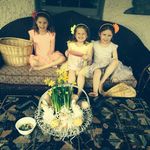 Ann King Berkman - @annberkman - Instagram