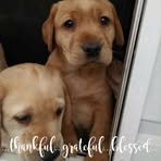 Ann Berlin - Facebook