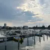 ann.berlin - @ann.berlin08 - TikTok
