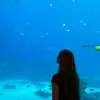 Ann - @annbiebel - TikTok