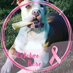 Anne-gaelle Parcouet Billette - @annegaellebillette - Instagram