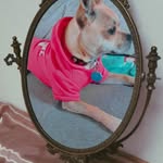 Ann Blackwell - @auntyann123 - Instagram