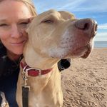 Ann Blackwell - @annblackwell74 - Instagram